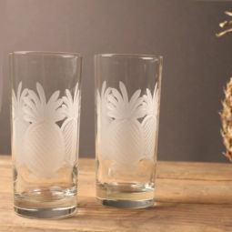 Pineapple Cooler Highball Glasses Set of 4
