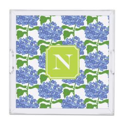 Sconset Blue Square Lucite Tray