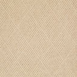 Indoor/Outdoor Cane Wicker Rug